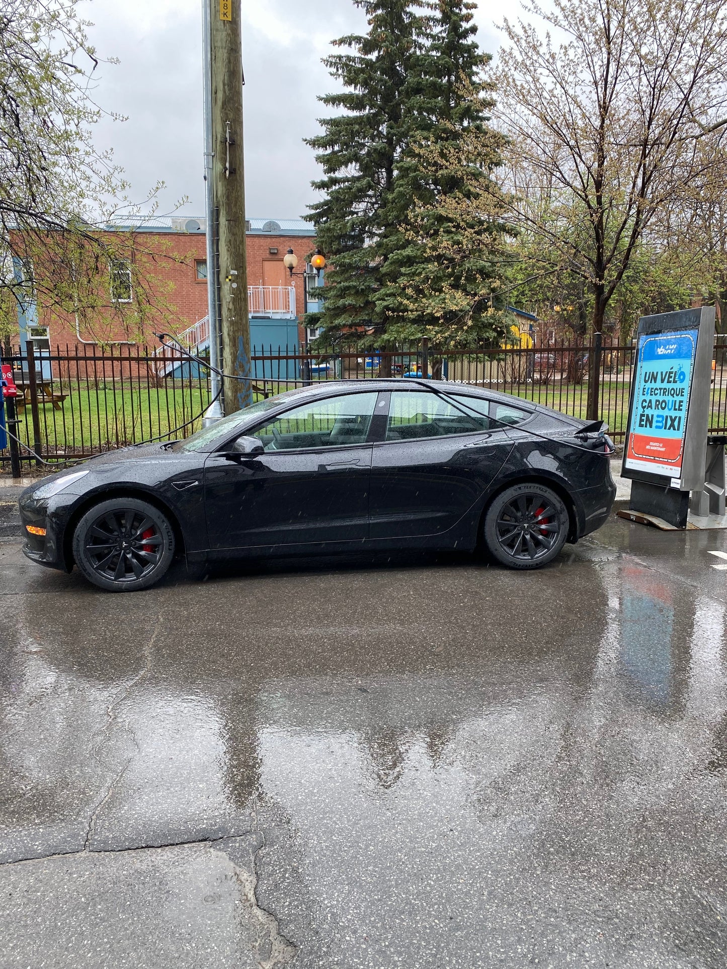 Model 3 Summer Options