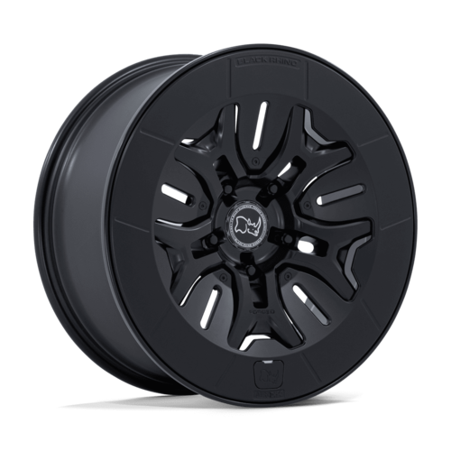 R1S / R1T Summer Options